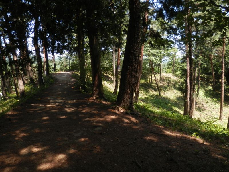 初めはこんな感じ