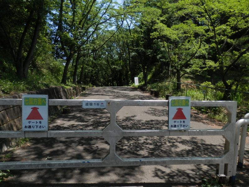 歩行者はゲートを通れる