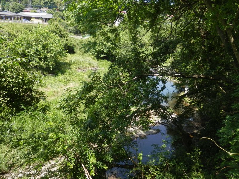 都県境を流れる成木川