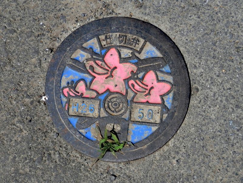 ツツジをデザインした仕切弁