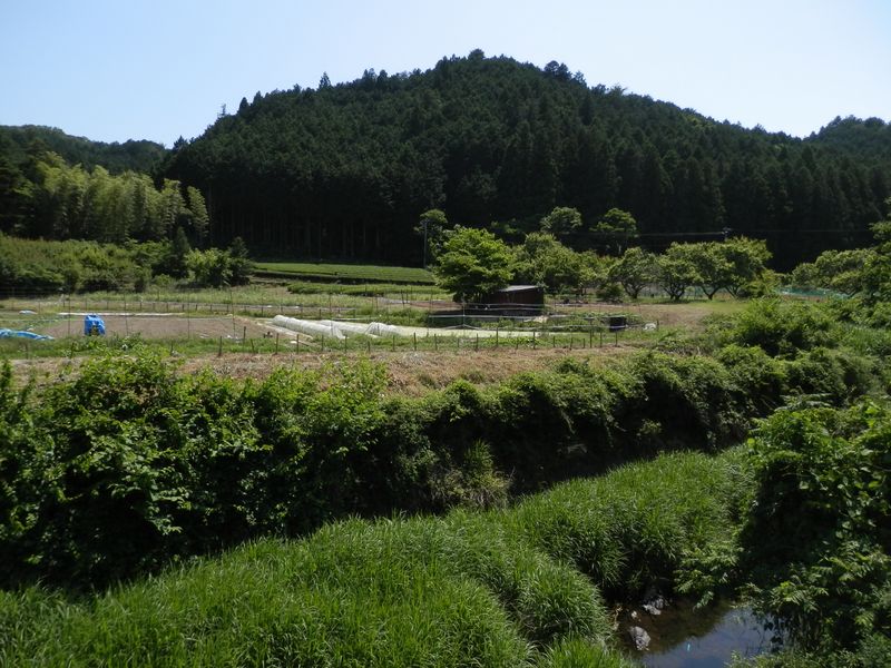 あの山の向こうが富士山かな?