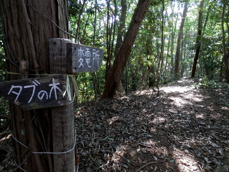 この書体の道標が随所に