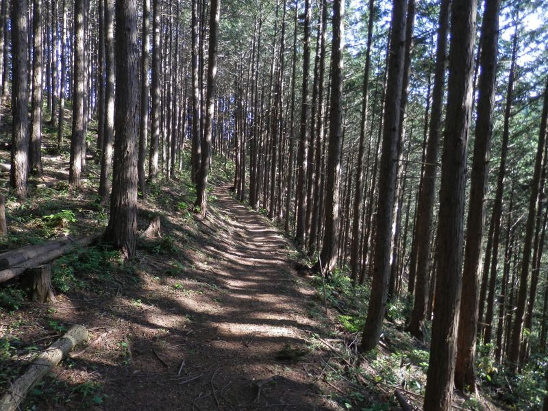 吹く風が涼しく心地よい
