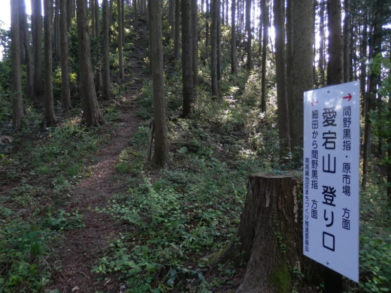 愛宕山に登って行こう
