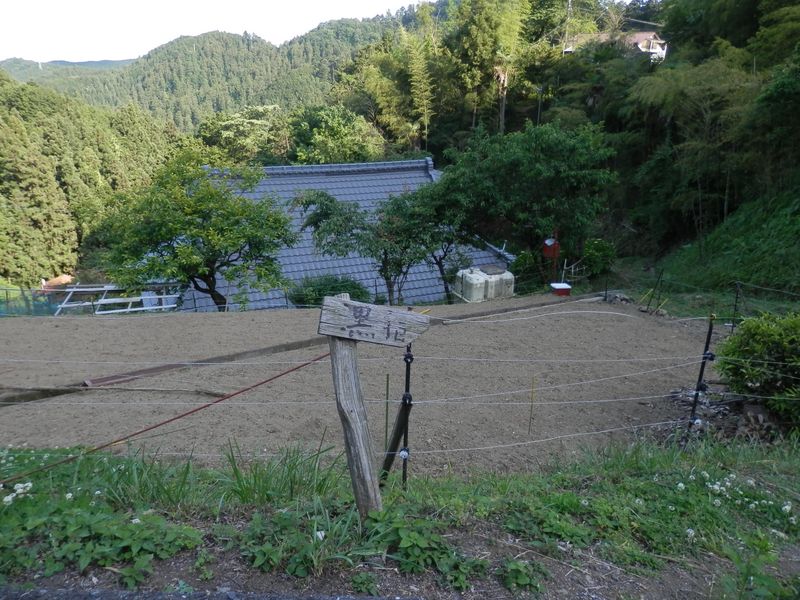 ここから黒指に降りる