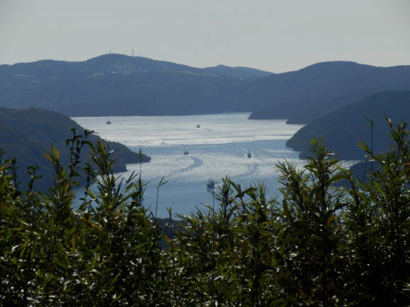 反対側に芦ノ湖