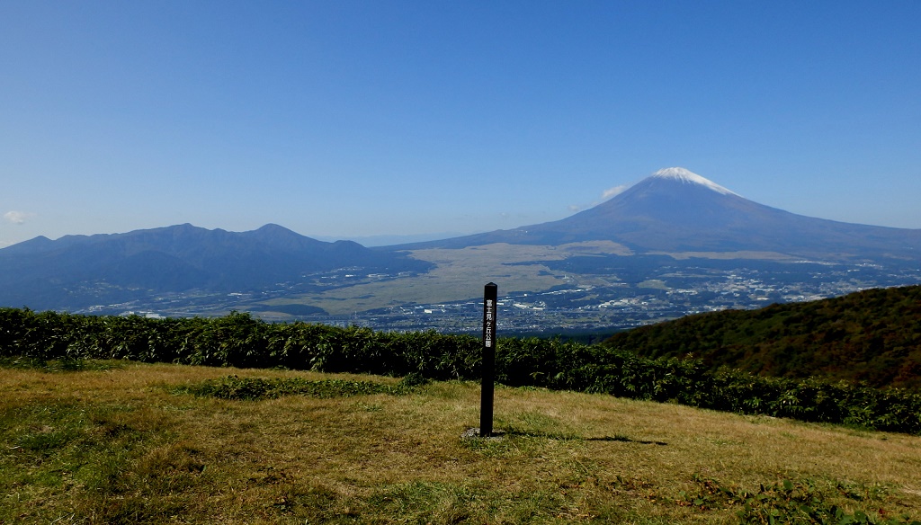 富士見ヶ丘公園