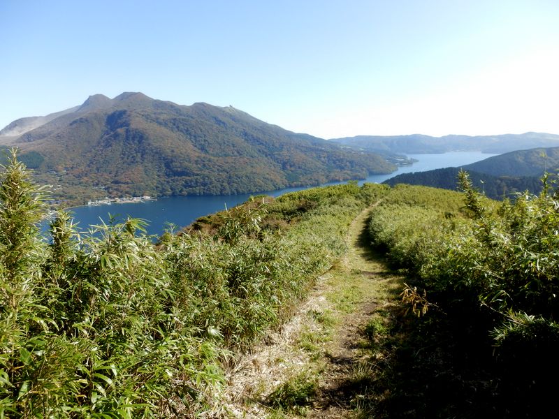 芦ノ湖への下り道