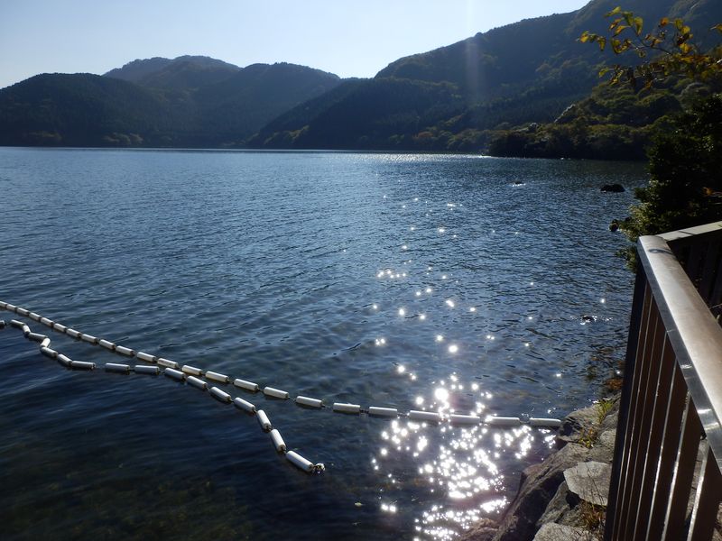 芦ノ湖キラキラ