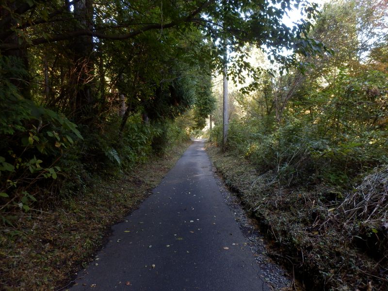 サイクリングコースをテクテク