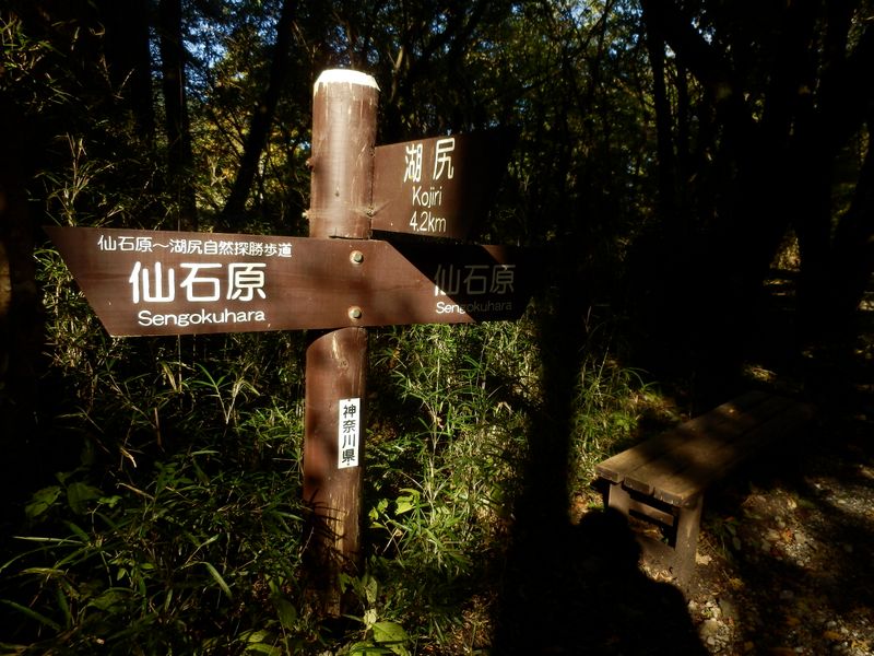 自然探勝歩道分岐