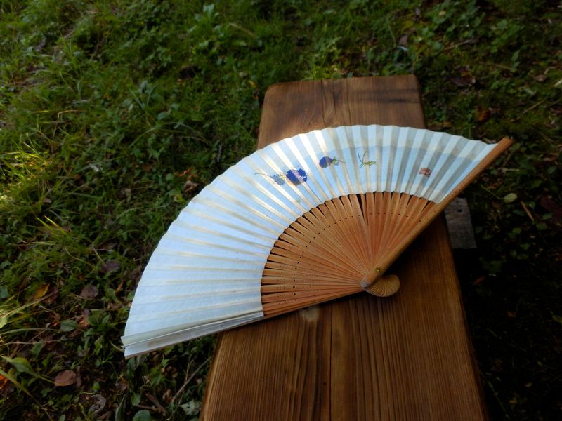 誰かが忘れた扇