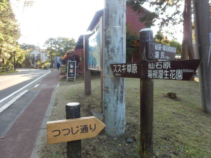 住宅街を抜けて、ススキ草原へ