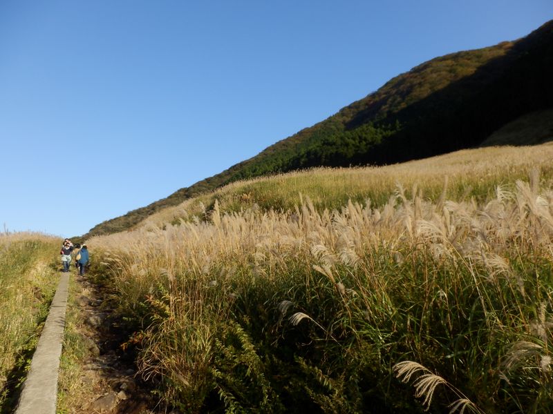 やはり順光がいい