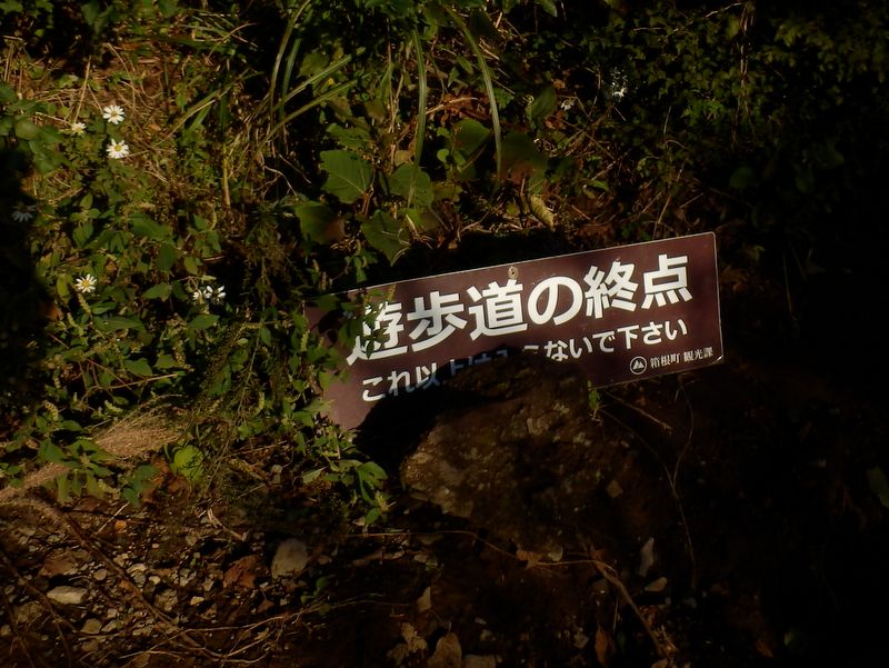 ススキ草原遊歩道終点