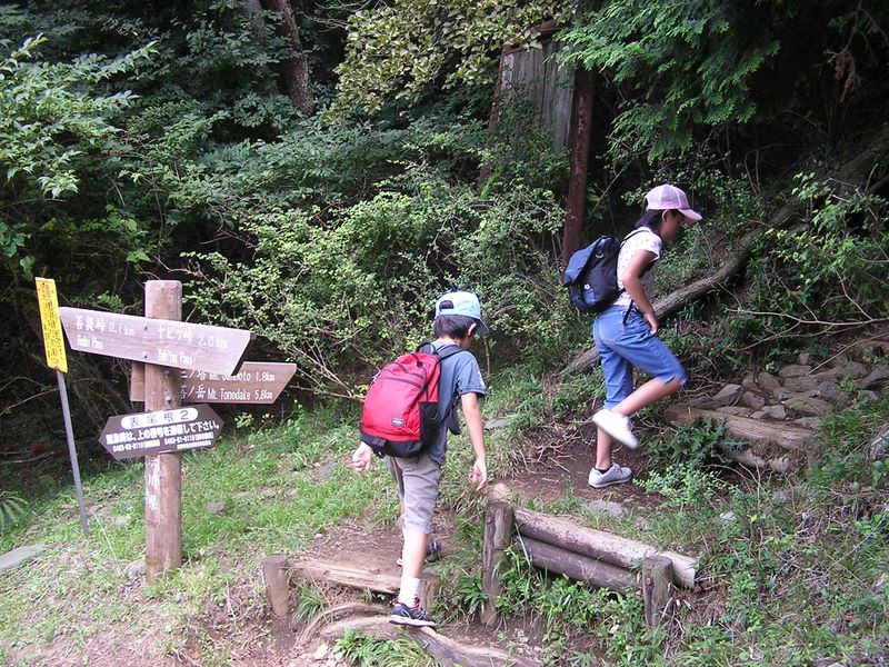 丹沢表尾根 -- これより登山道