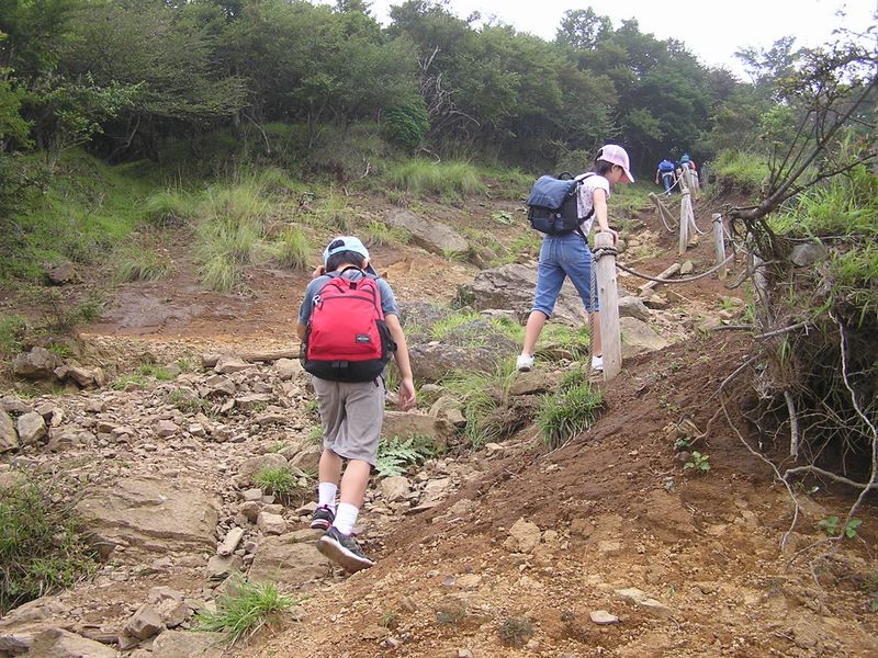 丹沢表尾根 -- 二ノ塔に向かう尾根も荒れている