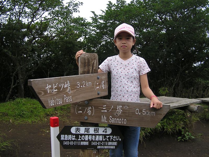 丹沢表尾根 -- 堅牢そうな道標