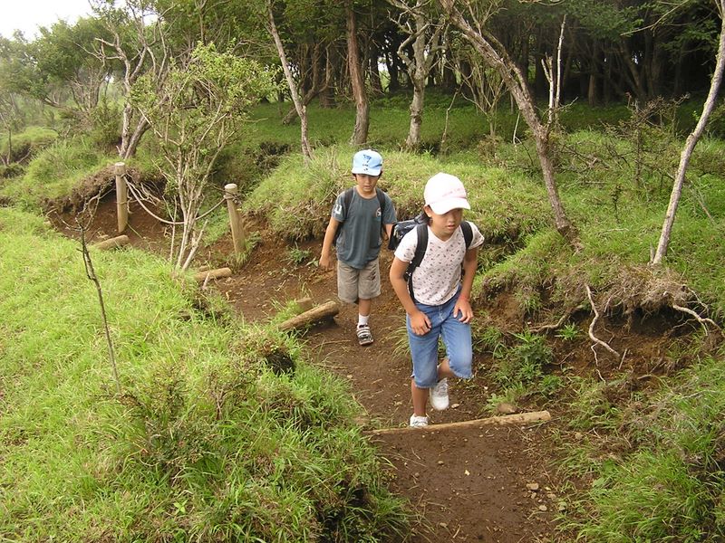 丹沢表尾根 -- 三ノ塔に向かい、えぐれた登山道を登る
