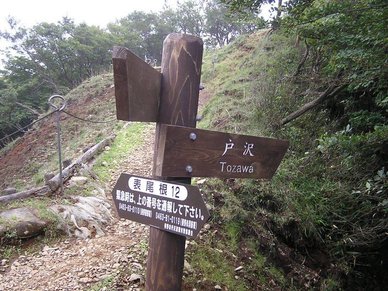 丹沢表尾根 -- 政次郎尾根を経由して、戸沢に下る