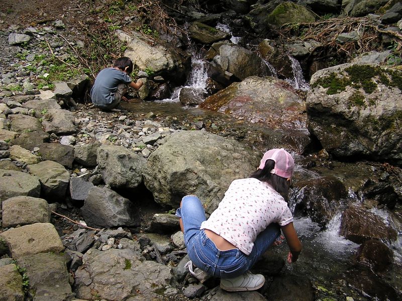 丹沢表尾根 -- 水無川に到着