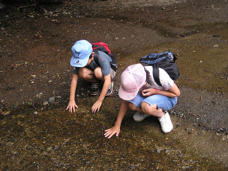 丹沢表尾根 -- 感触を楽しんで