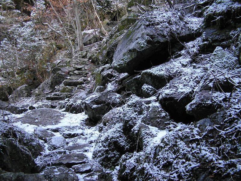 馬頭刈尾根 -- スリップに注意しながら歩く
