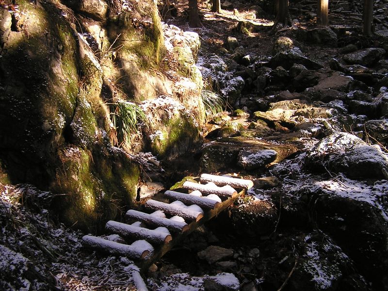 馬頭刈尾根 -- 美しい橋の上の雪を踏みつけたくなかったので、石の上を渡った