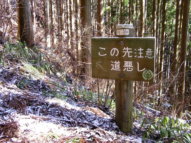 馬頭刈尾根 -- これより尾根歩き