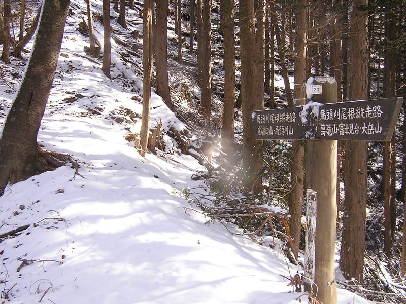 馬頭刈尾根縦走路を鶴脚山に向かって進む