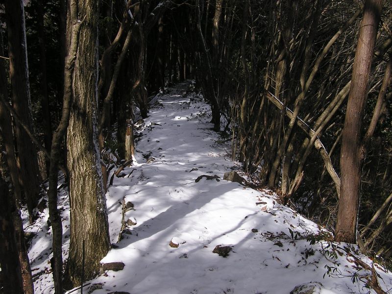 馬頭刈尾根 -- 静寂そのものの白い道