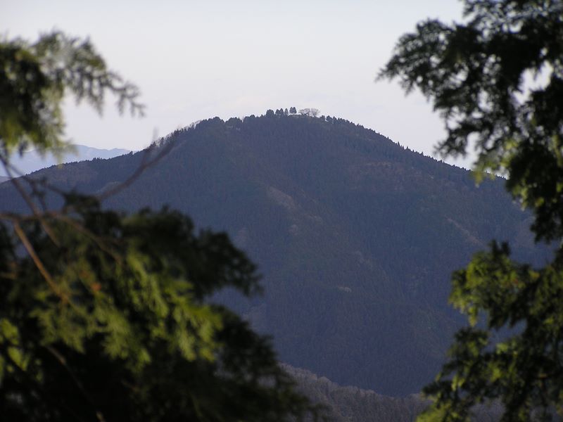 馬頭刈尾根 -- 日の出山を望む