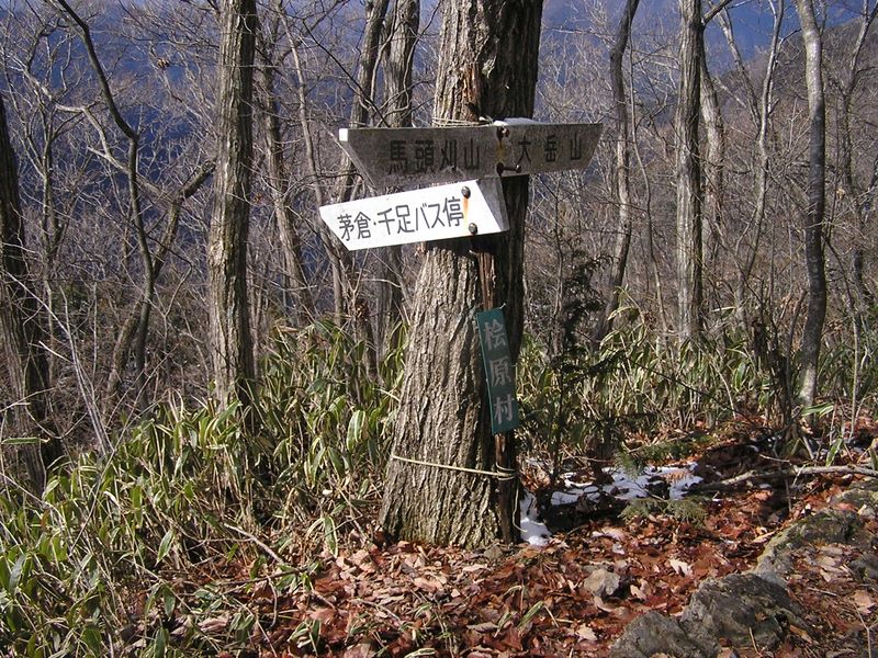 馬頭刈尾根 -- 千足尾根出合