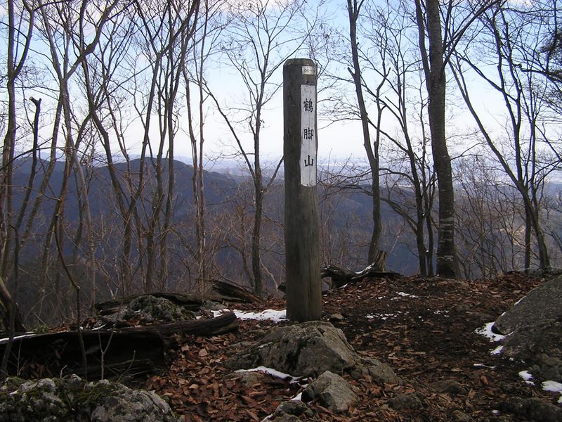 馬頭刈尾根 -- 鶴脚山に到着