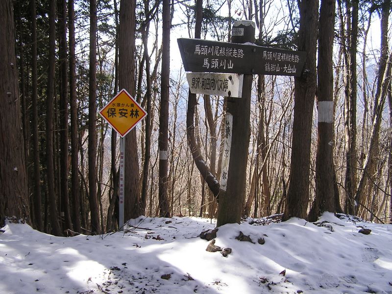 馬頭刈尾根 -- 泉沢尾根出合