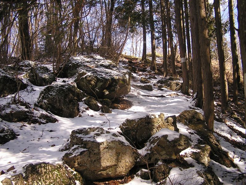 馬頭刈山頂直下