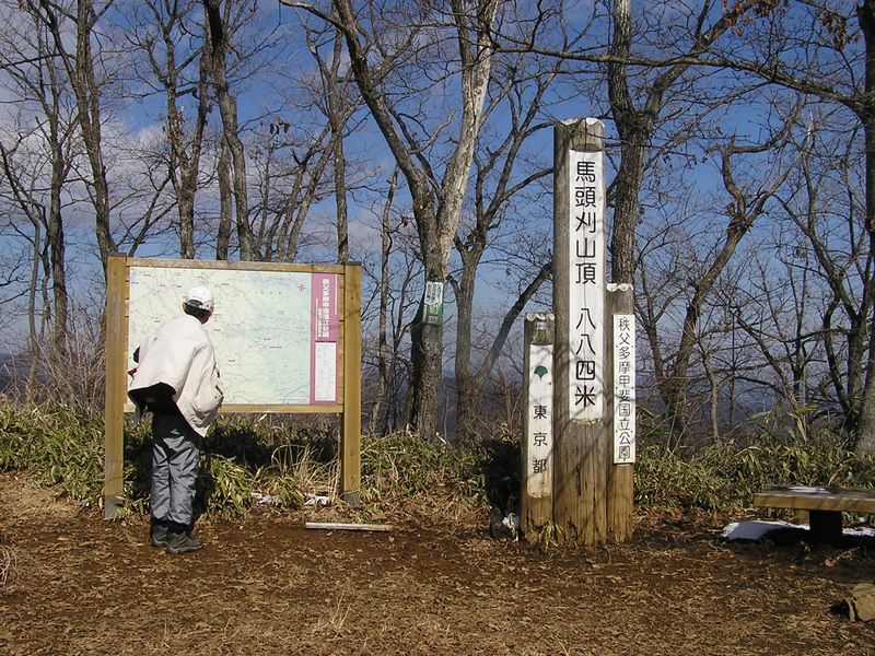 明るく広々とした馬頭刈山頂