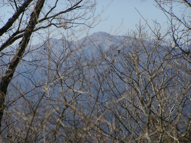 馬頭刈山頂より、槇寄山を望む