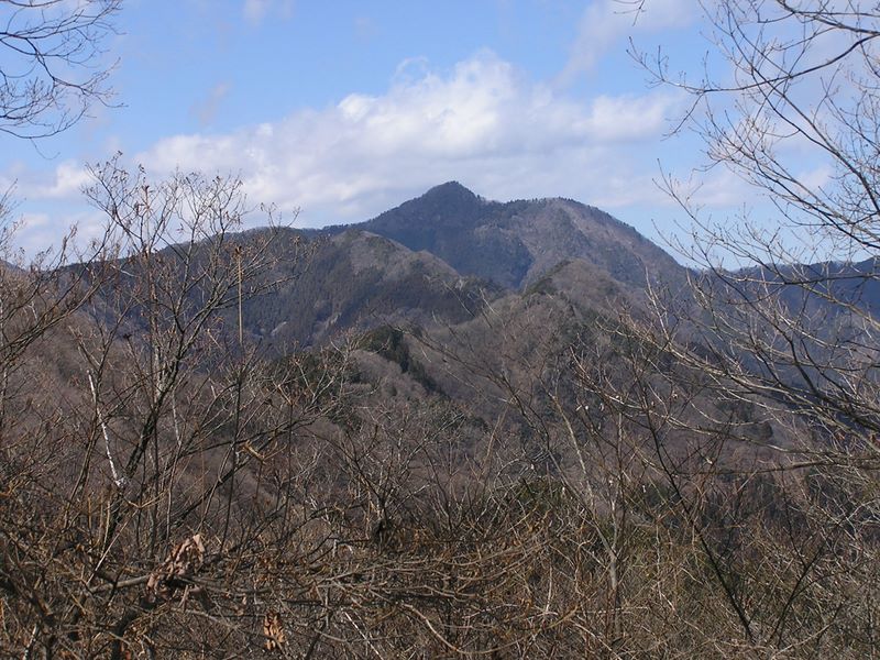 馬頭刈山頂より望む、大岳山と馬頭刈尾根縦走路
