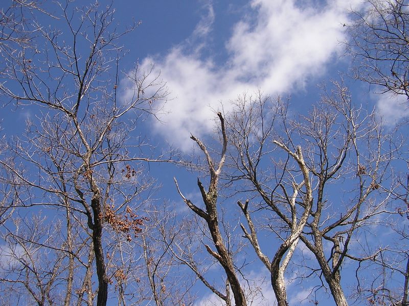 馬頭刈山頂の空