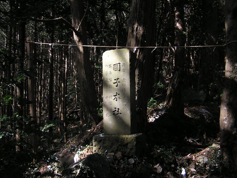 馬頭刈尾根 -- 團子木社とは何だろう？