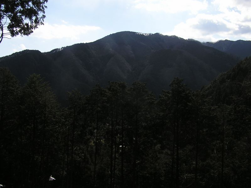 馬頭刈尾根 -- 臼杵山を望む