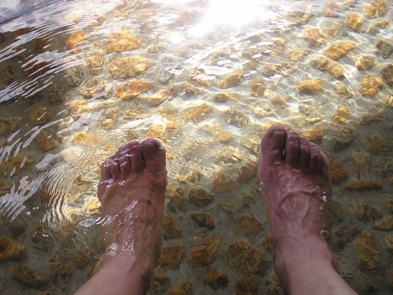 馬頭刈尾根 -- 頑張ってくれた足をねぎらう