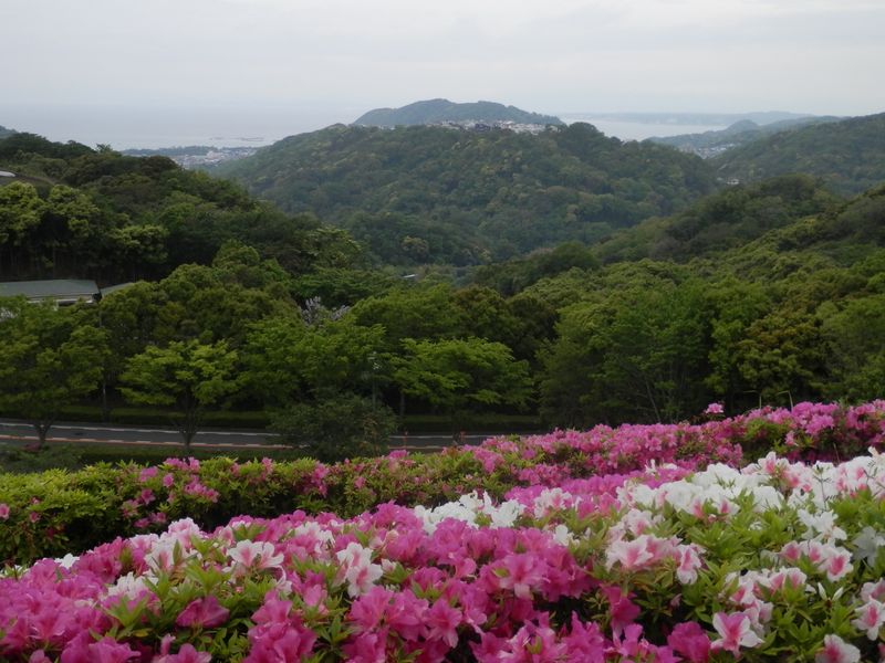 湘南国際村グリーンパークより、相模湾を望む