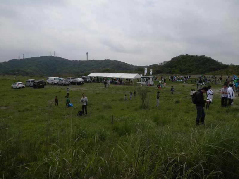 めぐりの森と大楠山