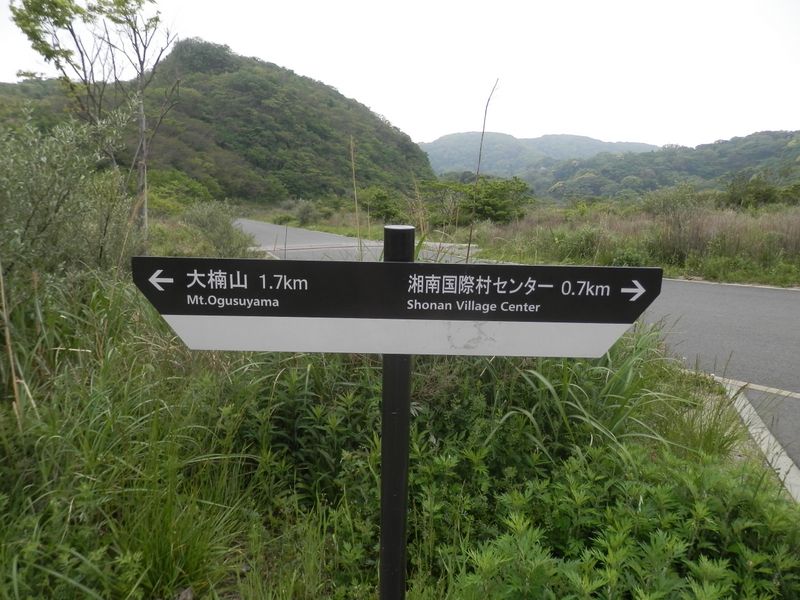 めぐりの森から大楠山は近い