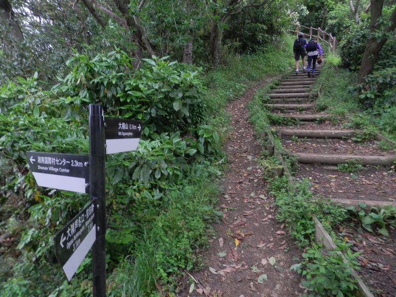 大楠山頂まであと0.1Km