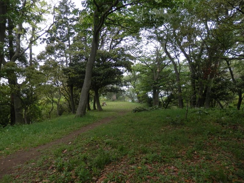 菜の花畑（秋はコスモス畑）の裏に通じる道