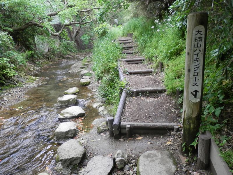 前田川遊歩道に下りた