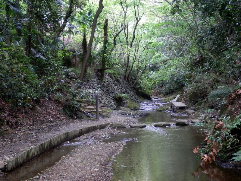 左の階段からトイレに上がれる